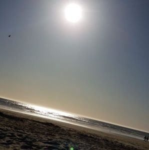 Meet your Posher, Lena